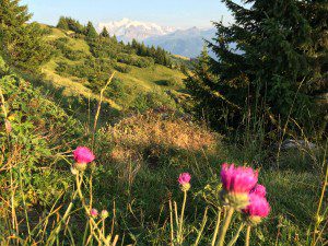 Yoga Retreat French Alps July