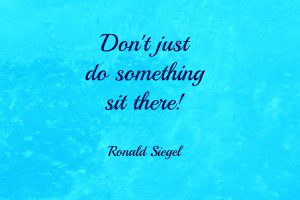 Ronald Siegel on Mindfulness
